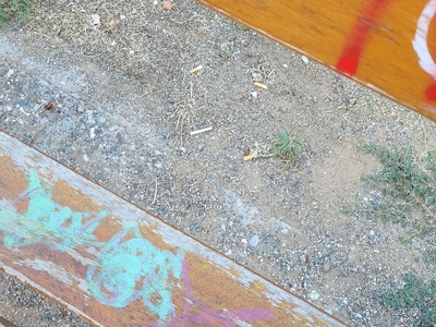 σκουπίδια παντού  πάρκου της Σκρα