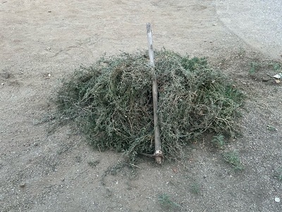 •	Αίτημα για αποκατάσταση και συντήρηση παιδικής χαράς Σκρα!