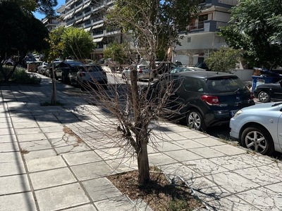 καμενο δεντρο στην καπετανιδου