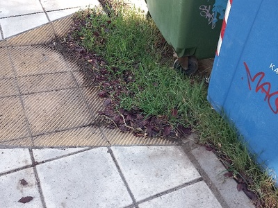 ράμπα που κλείνουν οι κάδοι και χορταριάζει Παπανδρέου