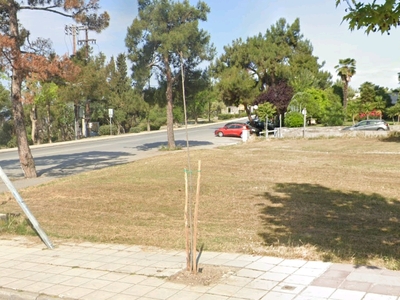 Άδεια δενδροδόχος Χηλής 	Νικ. Πλαστήρα