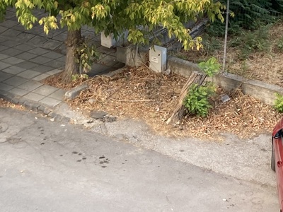 Ανύπαρκτη καθαριότητα οδών  	Χειμωνίδου