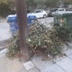 αμμεσα  Καπετ γκονη