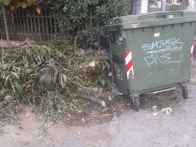 αμμεσα  τονους κλαδια  Παρασκευοπουλου
