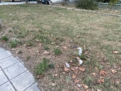 Σκουπιδια εκτος καδου Άγνωστου Στρατιώτη