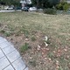 Σκουπιδια εκτος καδου Άγνωστου Στρατιώτη