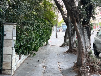 Κλαδιά από κει που οικοδομής μεγαλώνουνε μέσα στο πεζοδρόμιο  Κερασούντος