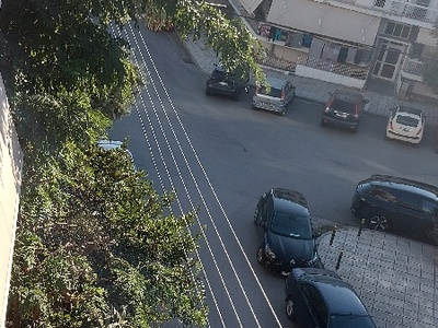 Κοπή δένδρου Ολυμπιάδος