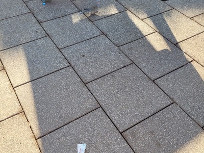 βρωμικες χαρες!!!!!  	Αδαμάντιου Κοραή