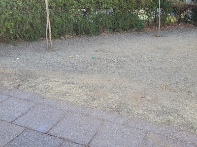 βρωμικες χαρες!!!!!  	Αδαμάντιου Κοραή