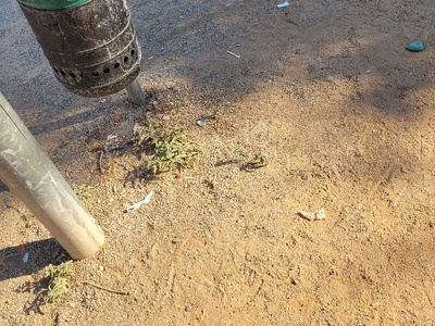 βρωμικες χαρες!!!!!  	Αδαμάντιου Κοραή