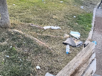 Σκουπίδια σε χώρο πρασίνου	Μουσχουντή