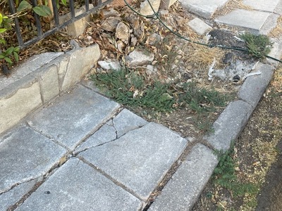 Ανανέωση / καθαριότητα