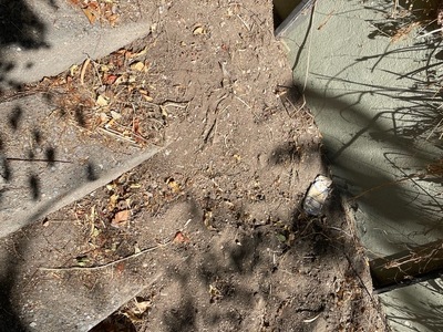 Ανανέωση / καθαριότητα