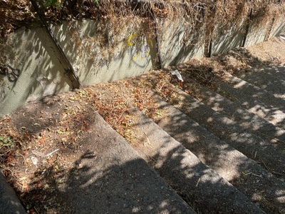 Ανανέωση / καθαριότητα