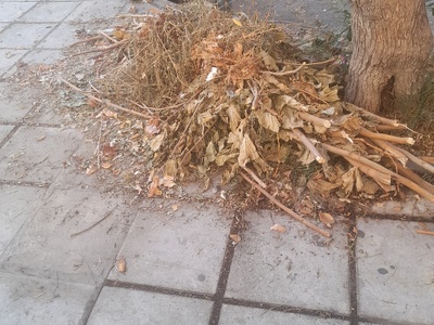 αμμεσα 	Αιγαιου