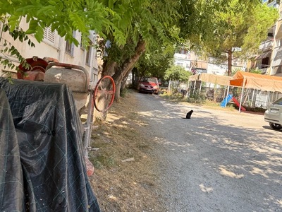 Παρατημένα μηχανήματα και περίφραξη δημόσιου χώρου από ιδιώτες  	Αρτέμιδος