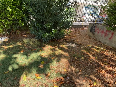 Τρεχούμενο νερό στον Αριστοτέλη