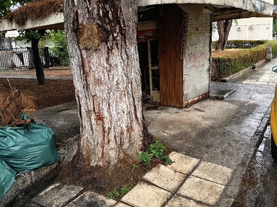 ΑΜΕΣΗ ΑΠΟΞΗΛΩΣΗ ΠΕΡΙΠΤΕΡΟΥ 	 Νικολαου Στρατου