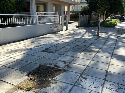 λειπει δεντρο στην καπετανίδου