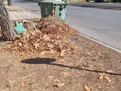 βουνο απο κλαδια και κομμενα χορτα  Μητροπολίτου Γρηγορίου Κυδωνιών