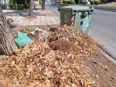 βουνο απο κλαδια και κομμενα χορτα  Μητροπολίτου Γρηγορίου Κυδωνιών