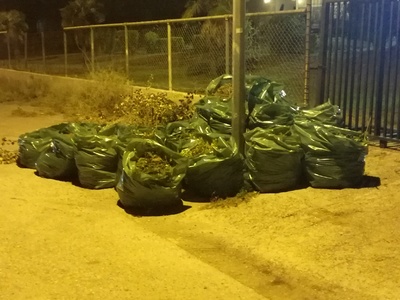Αποκομιδή ογκωδών