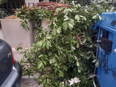 εδω και μερες  	Απ παυλου