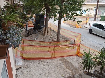 Κίνδυνος πτώσης δέντρων 	Καισαρείας