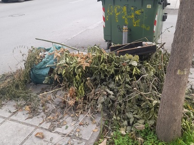 Αμμεσα  Αιγαιου