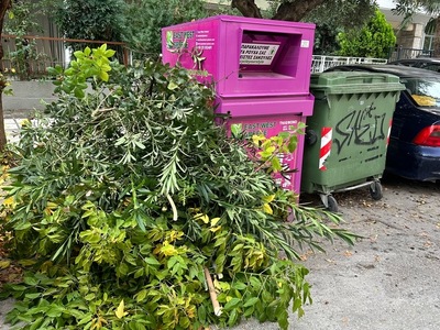 αποκομιδή κλαδιών  	Αλεξ Ακριτίδη