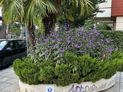 αναπλαση πεζοδρομίων στην Θερμαϊκού