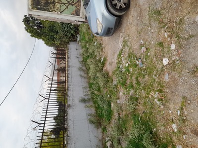 Καθαριότητα στην Βιολογική Αγορά Βοτση