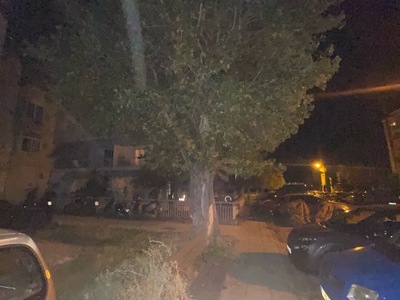 Δεντρο το οποιο ειναι ετοιμορροπο 	Άγνωστου Στρατιώτη