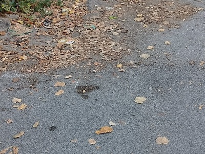 Καθαριότητα Ιωνιας