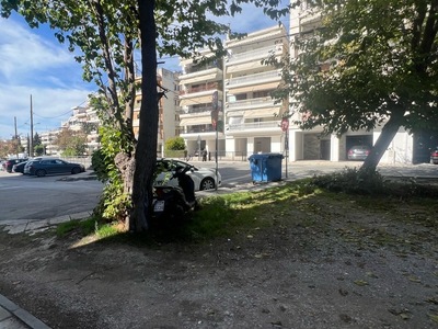 Κλαδεμα δεντρων  Κωνσταντίνου Καραμανλή