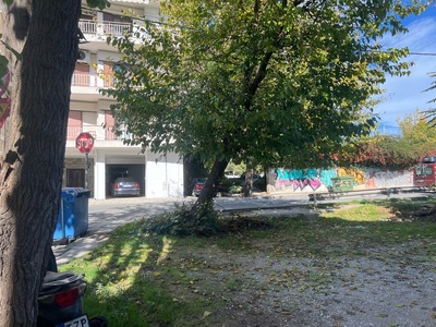 Κλαδεμα δεντρων  Κωνσταντίνου Καραμανλή