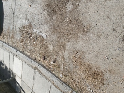 Καθαρισμός φρεατίου αποχεύτεσης δρόμου. 	Καλύμνου