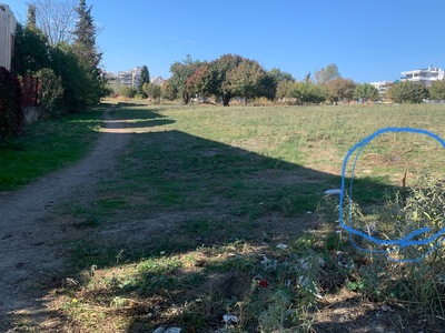 Ξερίζωμα δένδρων δίπλα στο σχολείο στο χώρο του Δήμου Καλαμαριας  	Εφέσου