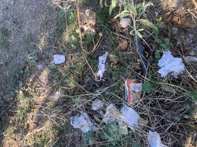 Ξερίζωμα δένδρων δίπλα στο σχολείο στο χώρο του Δήμου Καλαμαριας  	Εφέσου