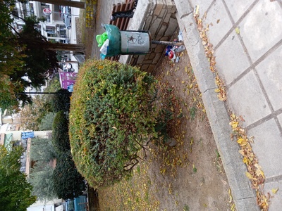 Σκουπιδαριο  	Πάρκο Καυκάσου και βουλγαροκτονου