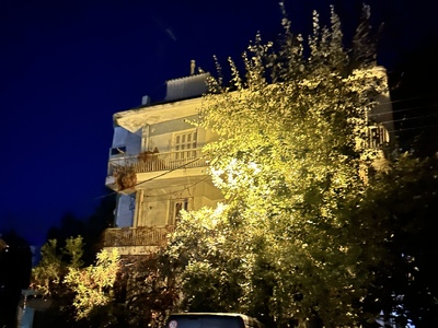 Κλάδεμα δέντρου 	ΕΦΕΣΟΥ