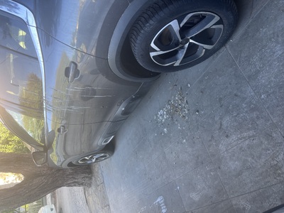 Επείγον αίτημα για κοπή/κλάδεμα επικίνδυνου δέντρου — Σινώπης 2, Καλαμαριά