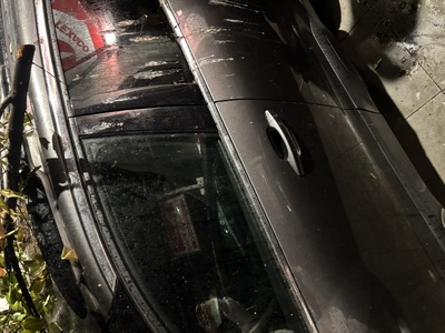 Επείγον αίτημα για κοπή/κλάδεμα επικίνδυνου δέντρου — Σινώπης 2, Καλαμαριά