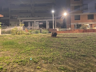 Ειναι για παιδια αμεα