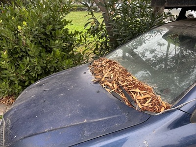 παρατημενο αμαξι εδω και μηνες 	Δωδεκανήσου