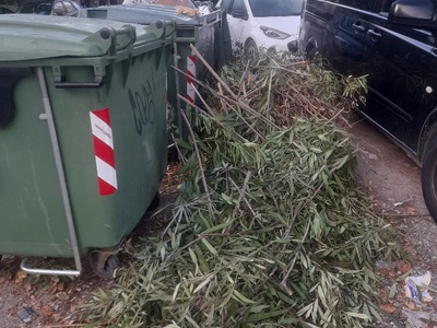 αμμεεα 	Επανομης