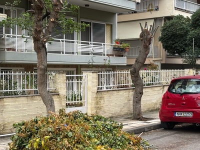 Κλαδιά στο οδόστρωμα Οδυσσέα Ανδρούτσου