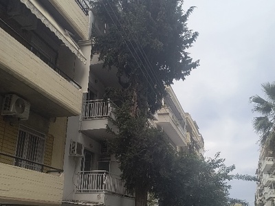 κλάδεμα 	Πουλαντζακη