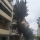 κλάδεμα  Πουλαντζακη
